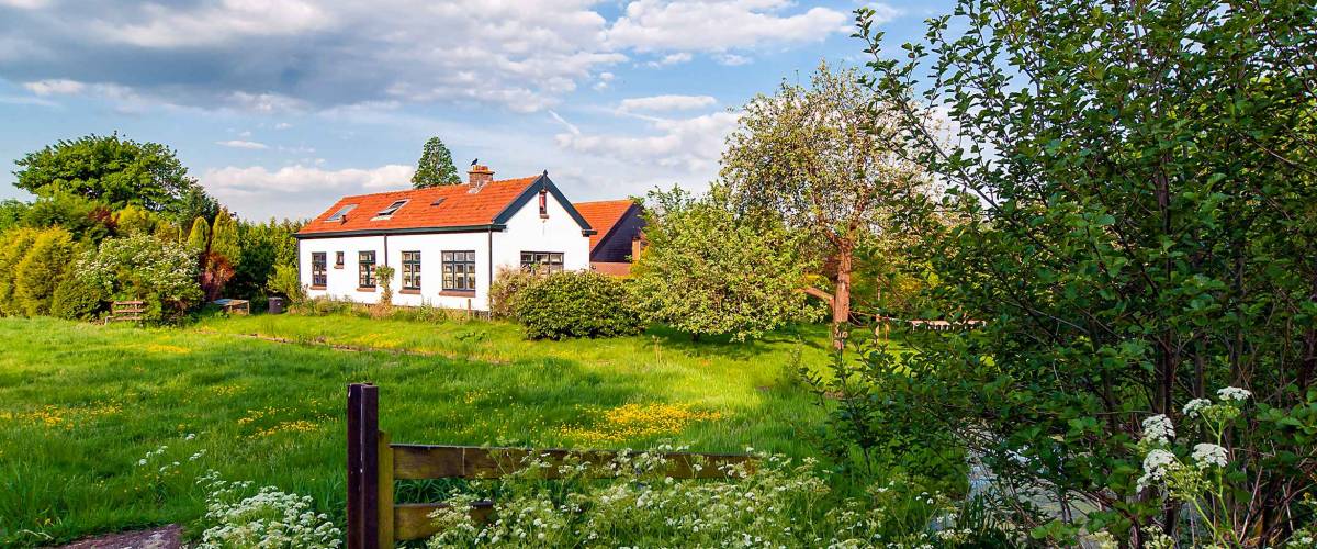 Rural house in summer nature landscape