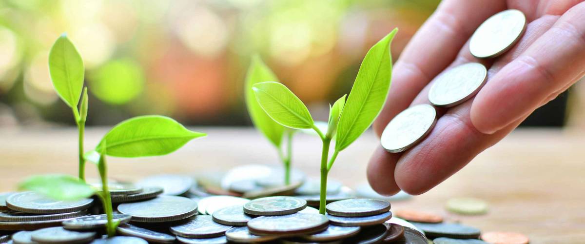 coins growth up to profit concept investment and finance