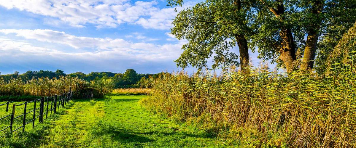 Rural farm land nature landscape