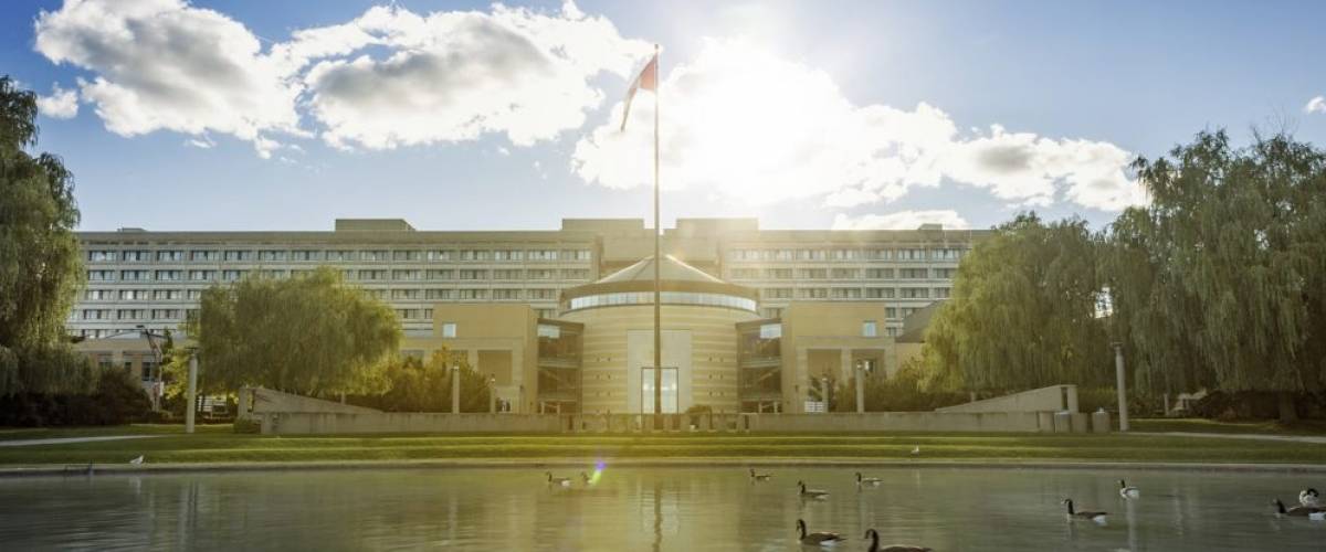 York University
