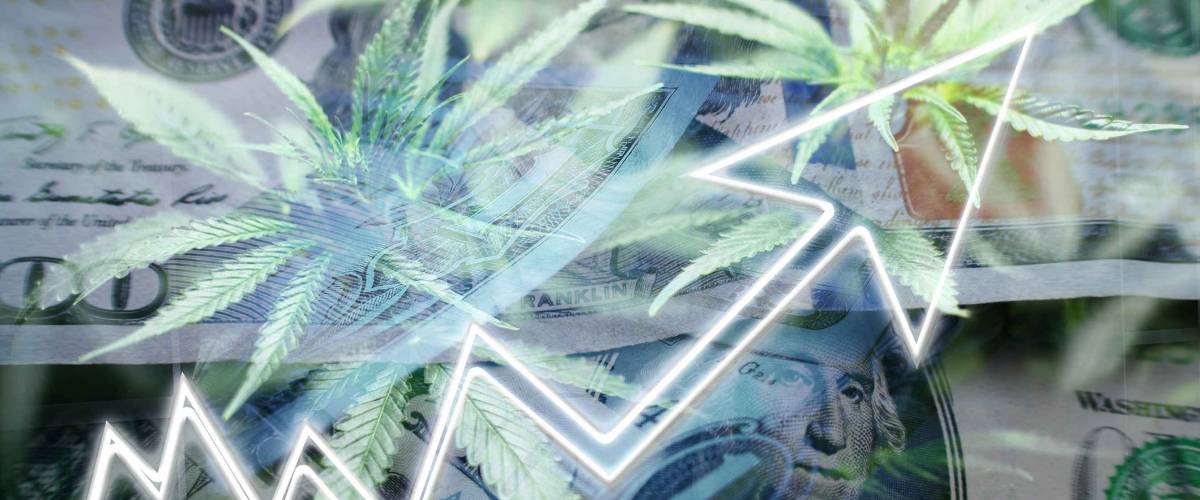 Cannabis Stocks Exploding High Quality
