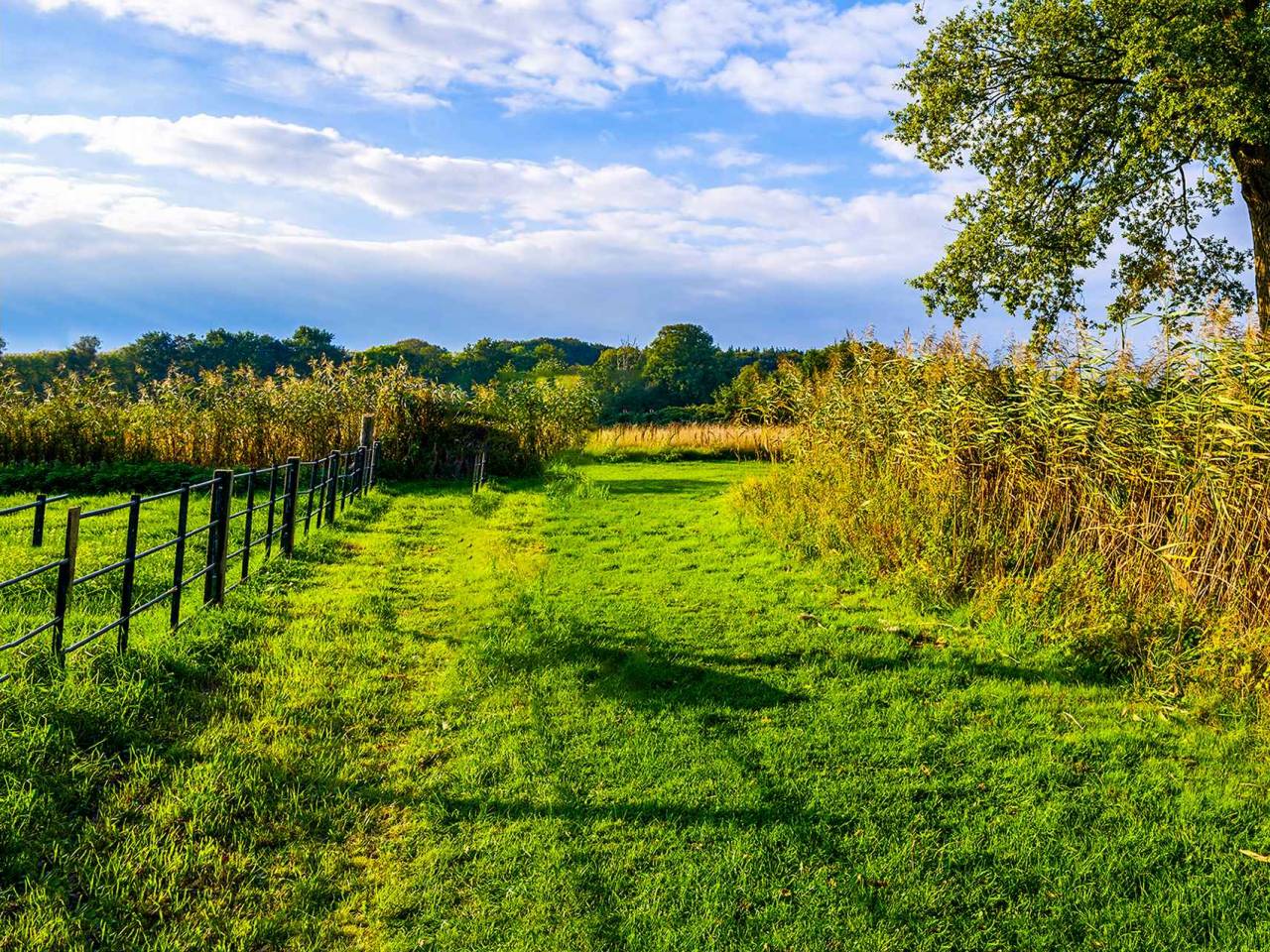 Rural farm land nature landscape