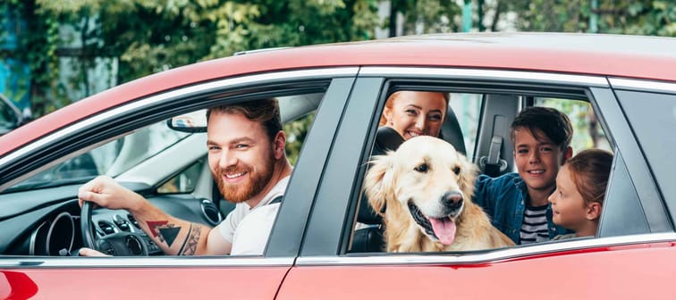 beautiful young family travelling by car with dog