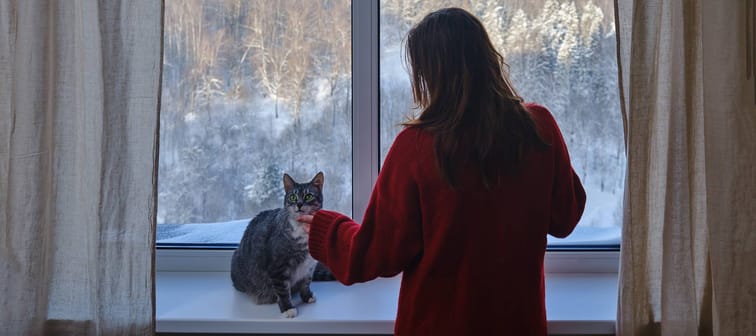 Woman in a knitted sweater stroking a cat looking at a winter park with snow-covered trees outside the window